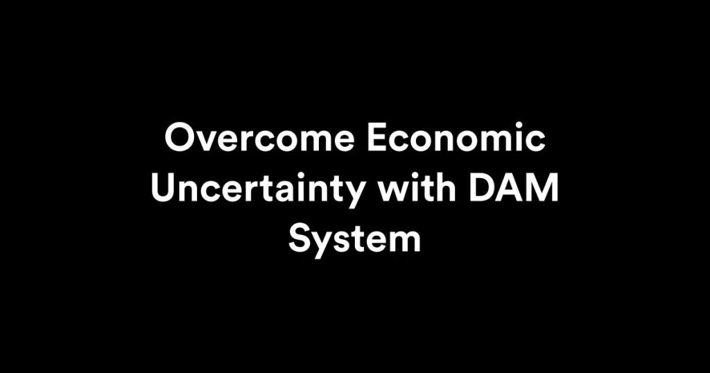 overcome economic uncertainity with DAM system